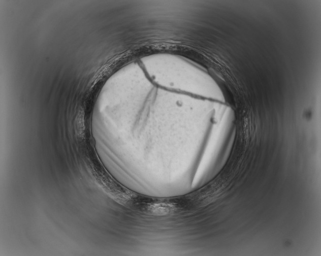 X0000115720508200912031554