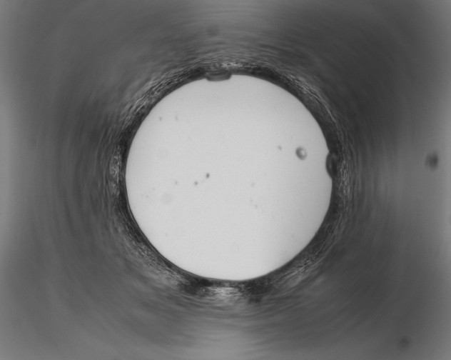 X0000115720509200912031554