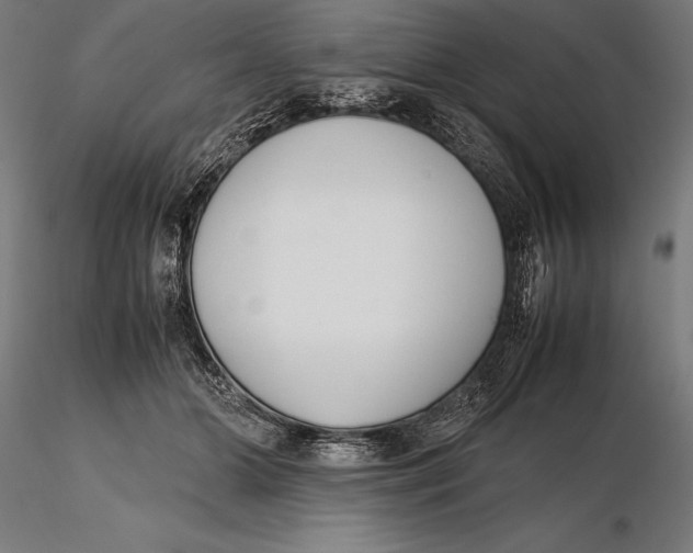X0000115720510200912031554
