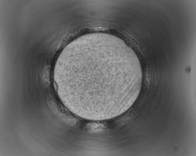 X0000115720512200912031554