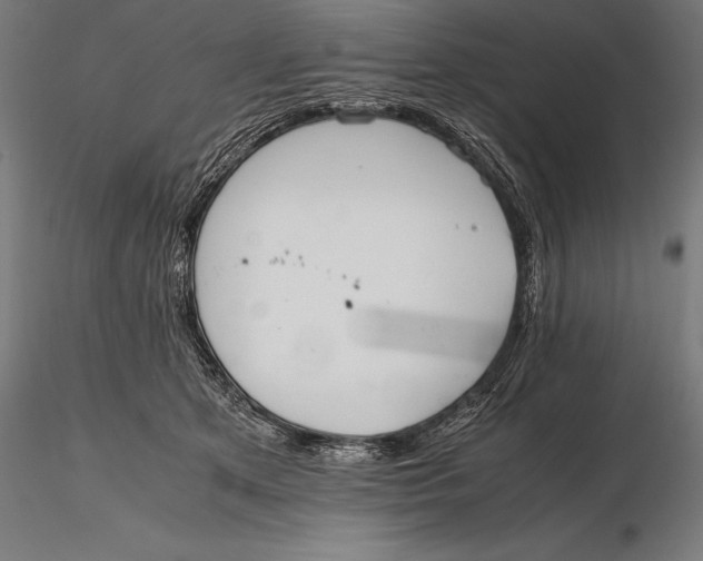 X0000115720513200912031554