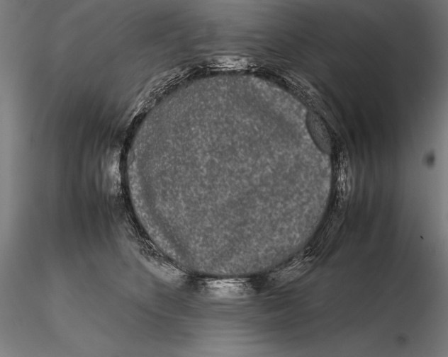 X0000115720516200912031553