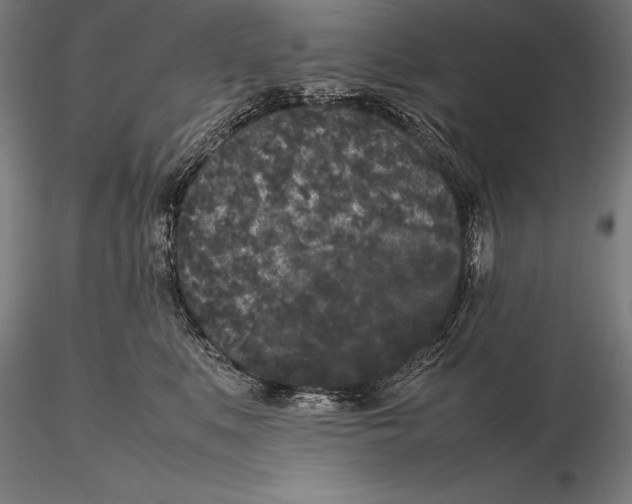 X0000115720519200912031553