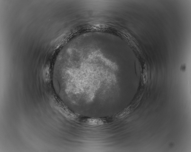 X0000115720520200912031553