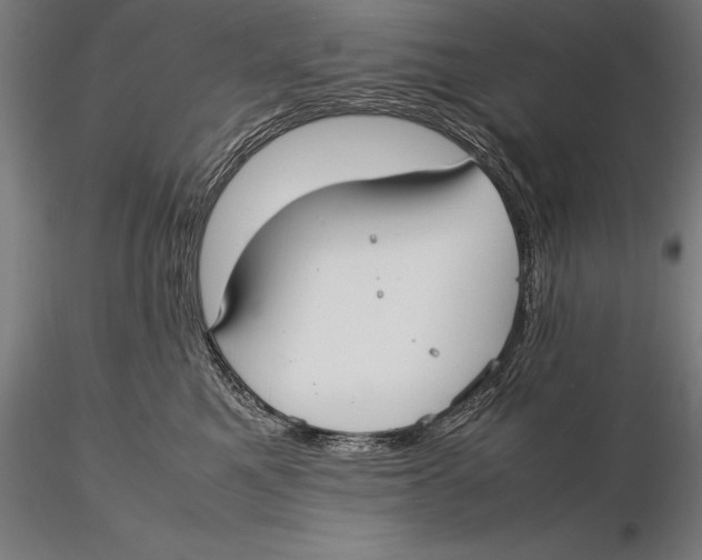 X0000115720521200912031553