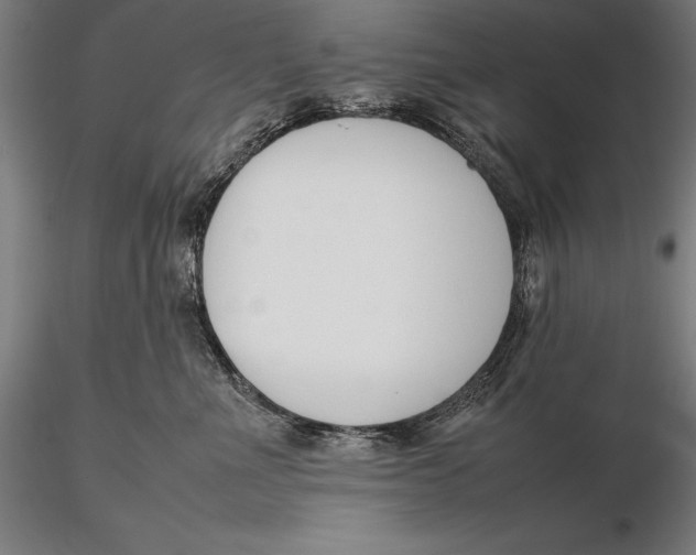 X0000115720523200912031553