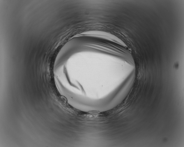 X0000115720524200912031553