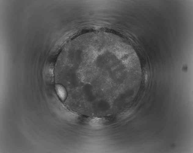 X0000115720527200912031553