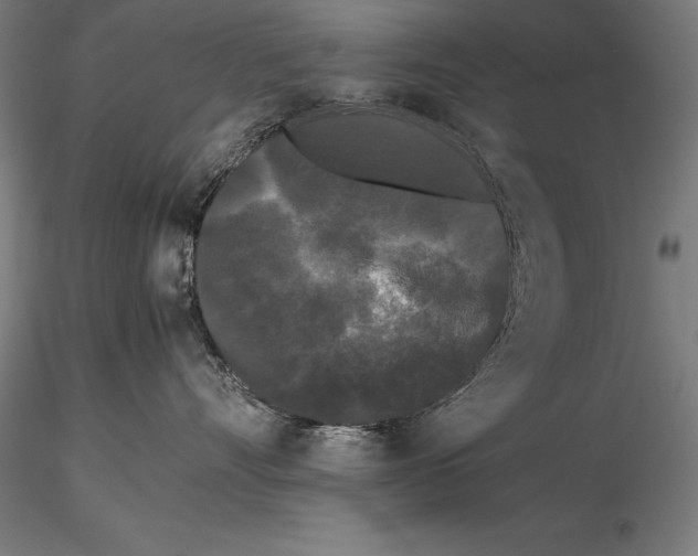 X0000115720528200912031553