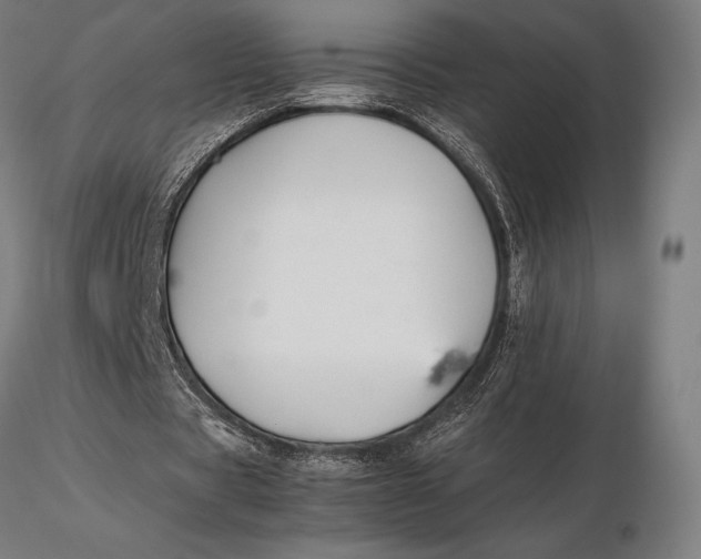 X0000115720529200912031553