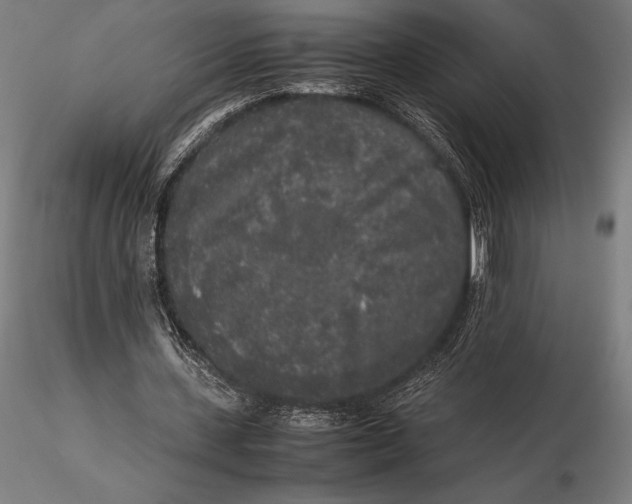 X0000115720531200912031553