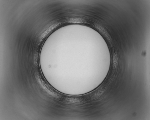 X0000115720533200912031553