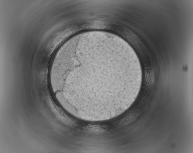 X0000115720534200912031553