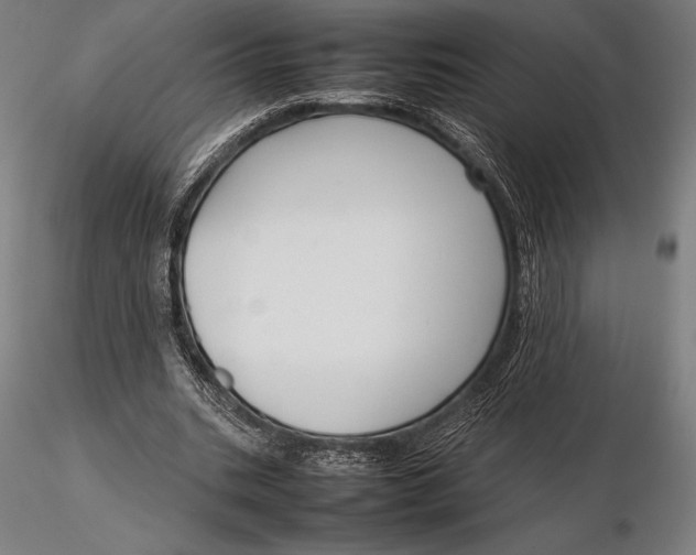 X0000115720535200912031553