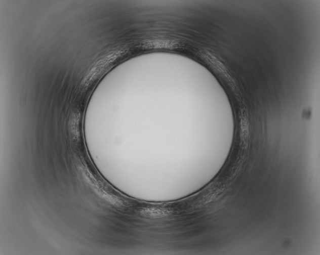 X0000115720537200912031553