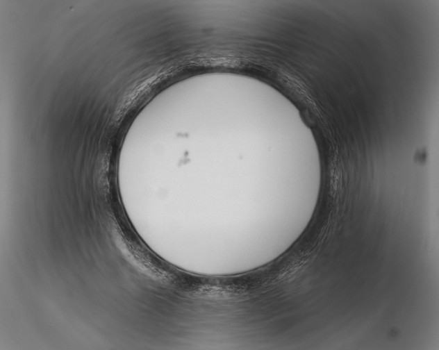 X0000115720538200912031553
