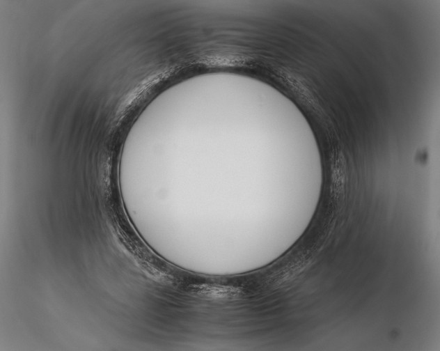 X0000115720539200912031553