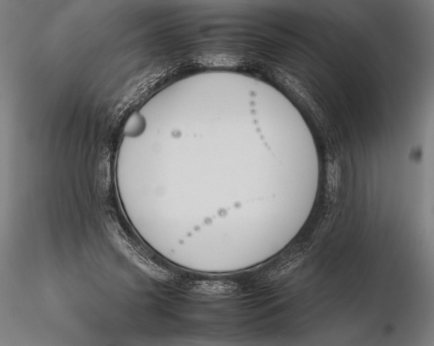 X0000115720541200912031553