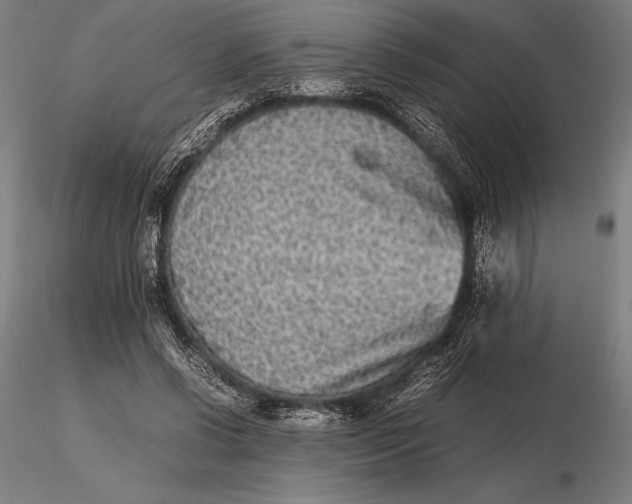 X0000115720542200912031553