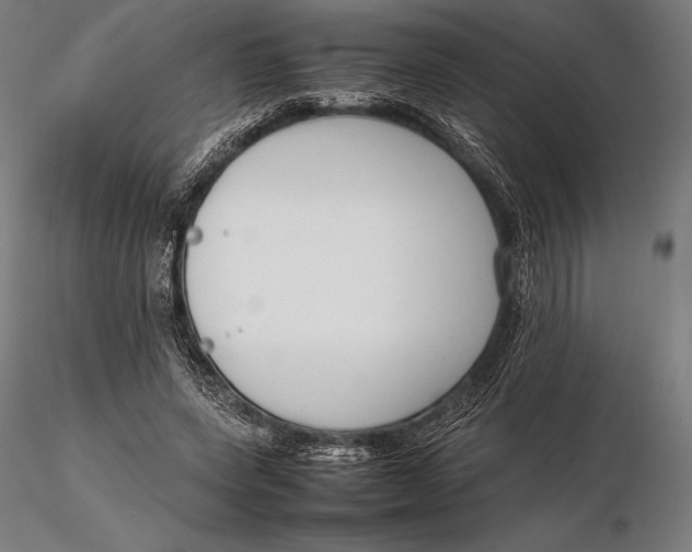 X0000115720543200912031553