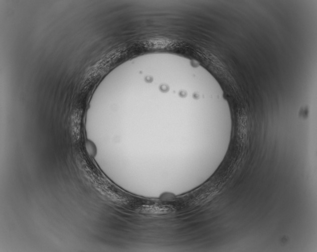 X0000115720545200912031553