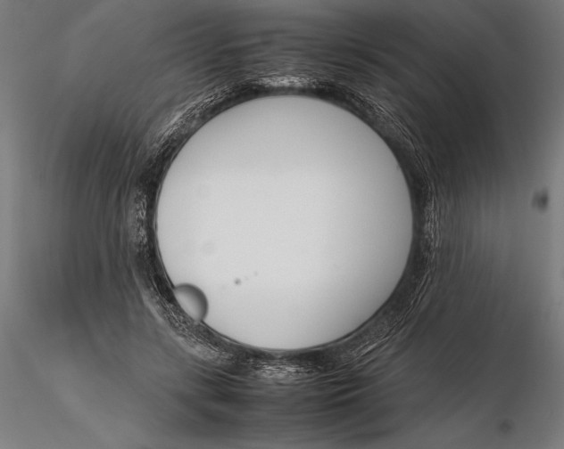 X0000115720547200912031553