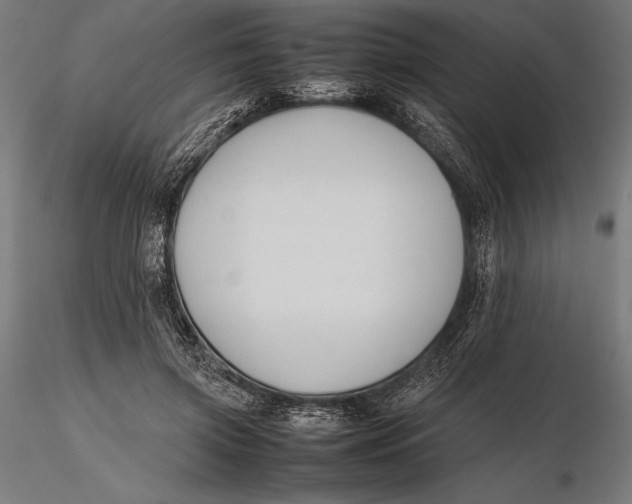 X0000115720549200912031553