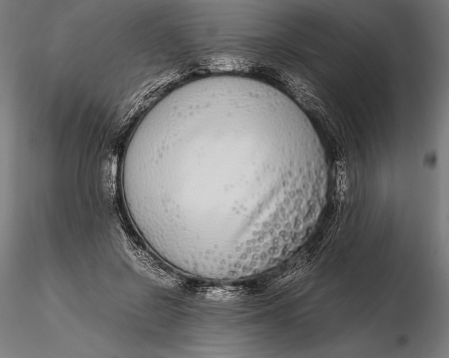 X0000115720550200912031553