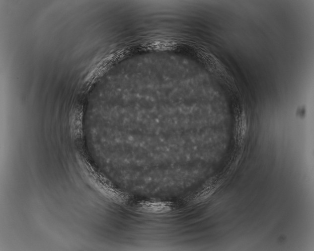 X0000115720553200912031553