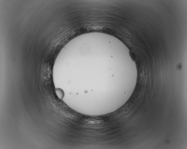 X0000115720555200912031553