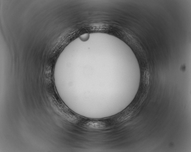 X0000115720557200912031553