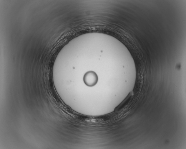 X0000115720558200912031553