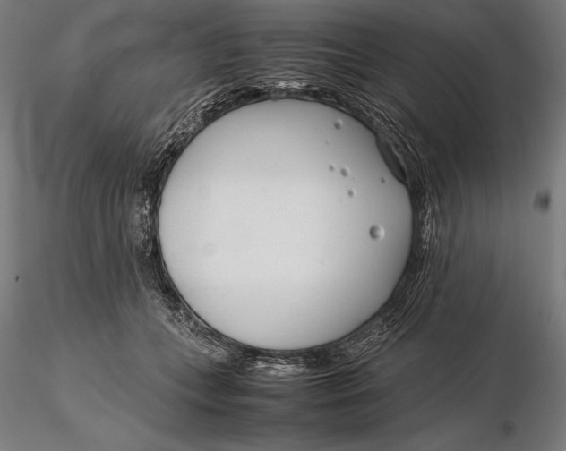X0000115720559200912031553