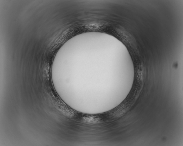 X0000115720561200912031553