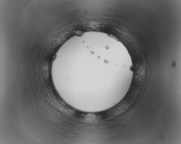 X0000115720562200912031553