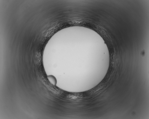 X0000115720563200912031553