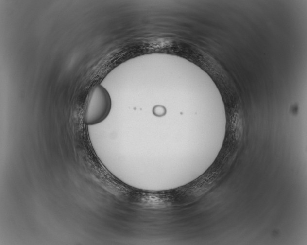 X0000115720565200912031553