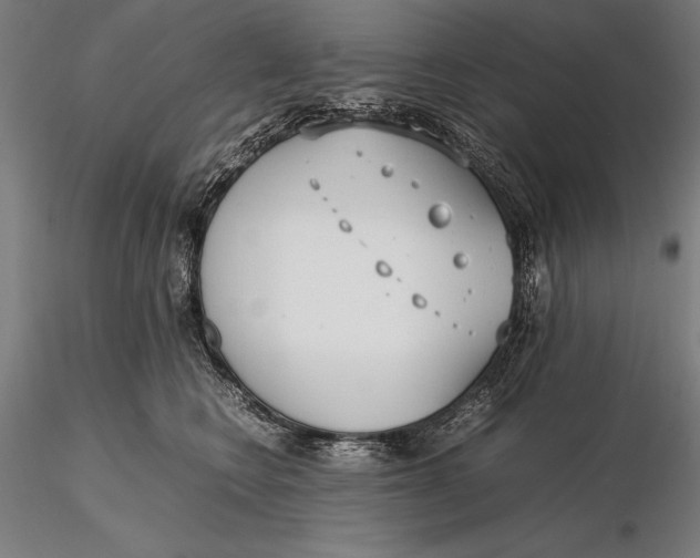 X0000115720566200912031553