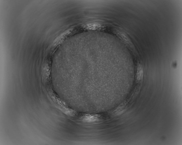 X0000115720569200912031553