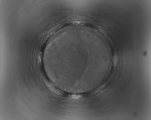 X0000115720570200912031553