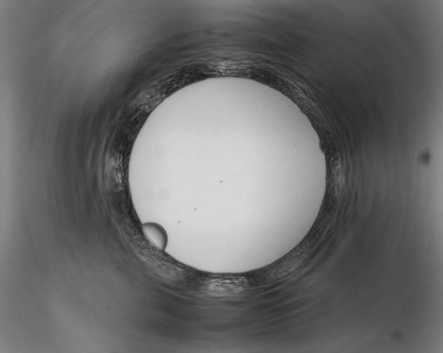 X0000115720571200912031553