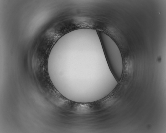 X0000115720573200912031553