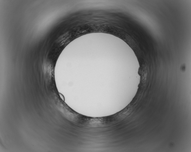 X0000115720574200912031553