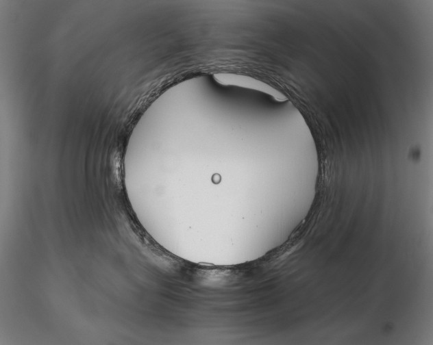 X0000115720575200912031553