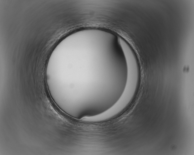 X0000115720577200912031553