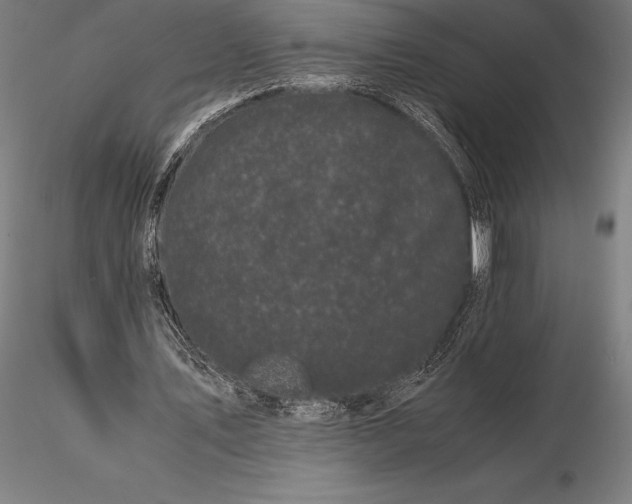 X0000115720579200912031553