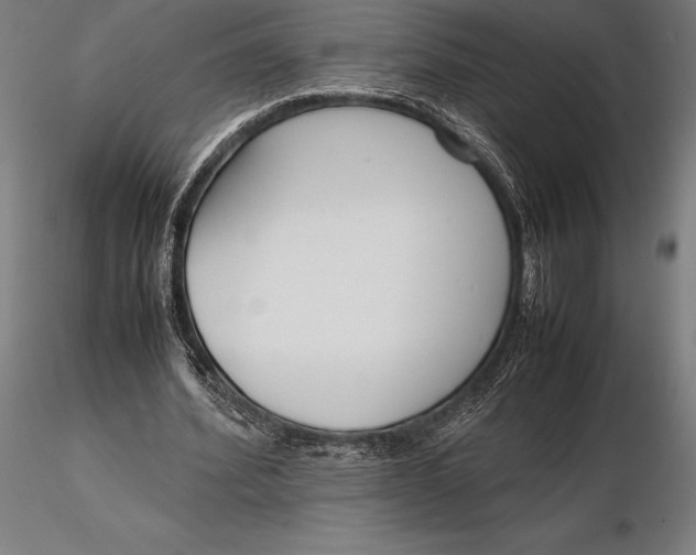 X0000115720580200912031553
