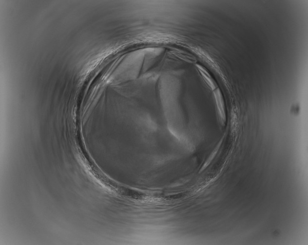X0000115720581200912031553