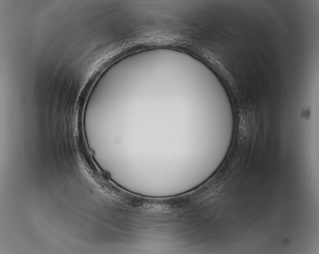 X0000115720582200912031553