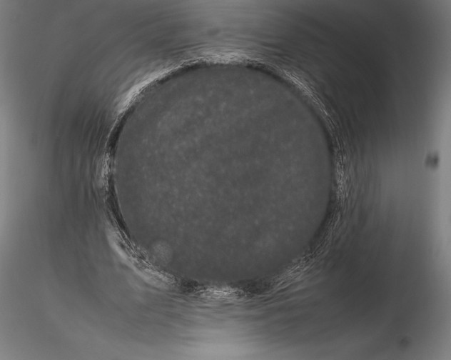 X0000115720583200912031553